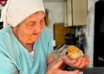 A strong willed 78 year old grandmother does not quit her job