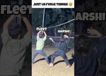 Just Lilyville Things 😅 @GamerFleet @AnshuBisht #gamerfleet #minecraft #lilyville #shorts