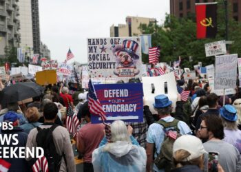 Millions turn out nationwide for ‘No Kings’ protests against Trump administration