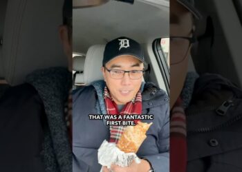 Amazing Chicken Shawarma in Metro Detroit! 🌯 #michigan #foodreview