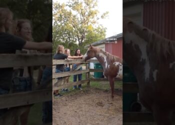 Social Saturdays at the farm are the best kind of Saturdays #harvest #annarbor #event