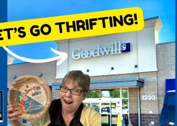 Quick Stop @North Canton Goodwill! I Bought A Grab Bag!