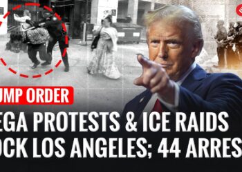 US News | ICE Crackdown Rocks L.A.: 44 arrested As Protests Erupt In Trump-Ordered Sweep