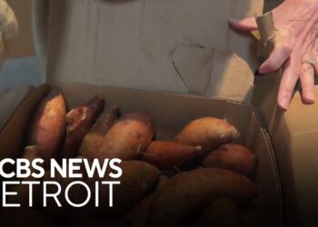 Michigan food banks losing federal funding