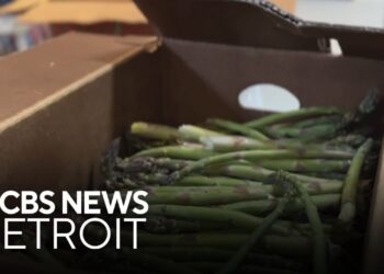 Washtenaw County food bank losing 30% of its funding