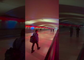 McNamara Terminal Light Tunnel At DTW or Detroit Metro AirPort #dtw #tunnel #shorts #airports