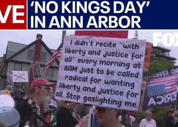 'No Kings Day' protest in Ann Arbor, Michigan
