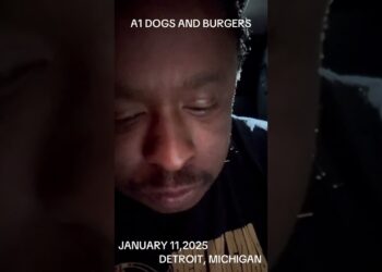 A1 DOGS AND BURGERS #FOOD REVIEW #detroit #michigan #foodie