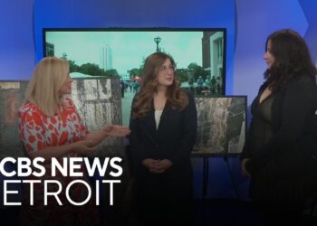 Ann Arbor Art Fair 2025 preview