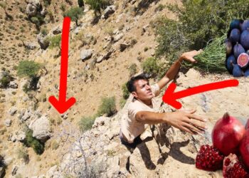 Majid's Adventure: From Bitter Mountain Incidents to the Delight of Natural Fruits