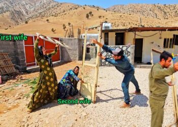 Two Wives, One Dream: Can husband Revive the Poultry Farm and Secure Their Future?