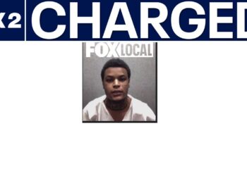Westland man charged with possessing child sexually abusive material
