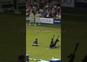 The last time ❤️‍🩹 #horsefail #fail #horseedits #equestrian #equestrian #showjumping #horsejumping