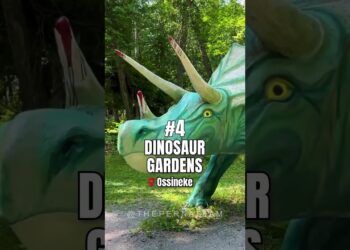 10 Unique Michigan Amusement Parks #shorts
