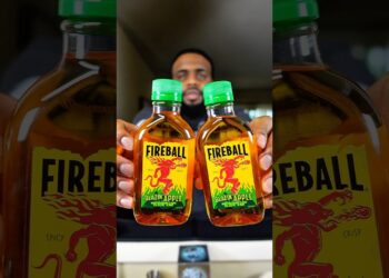 Fireball Blazin Apple | Best Cinnamon Apple Flavored Drink ?