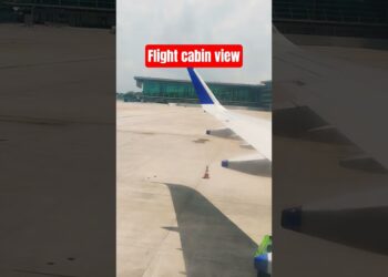 indigo flight #shorts #indigocabincrew #airport