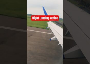 Flight Landing Skills Indigo #shorts
