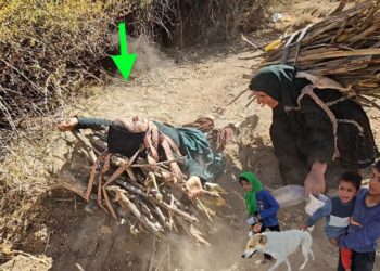 Sudden Fall: The Story of Ruqayyah and the Mountain