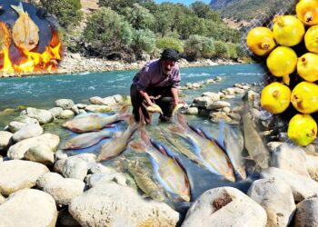 The Secret of Nomads' Pond Fishing in the Sakht River | A Technique That Surprised Everyone