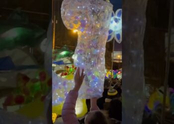 Luminaries, live music, and lights at Ann Arbor’s FoolMoon 2024
