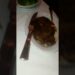 Ruith Chris An Arbor ,Michigan #food #lifeisbutadream