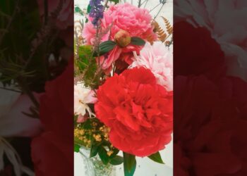 Windsor Flower Show Highlights 2025 #travel #garden #flowers #events #windsor #royalfamily
