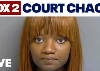 LIVE | Relative of McDonald's stabbing victim brings knives to court