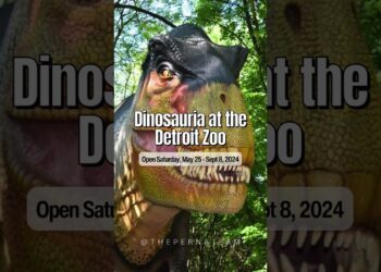 Memorial Weekend Events for Kids in Metro Detroit #shorts