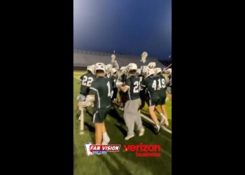 Fan Vision – Matthew Hoban – OT Winner for Father Gabriel Richard