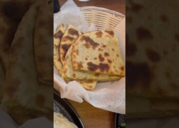 Nepali food at Nepali restaurant, Ann Arbor Michigan || Everest Sherpa Restaurant ||