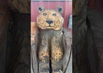 A day in Ann Arbor #annarbor #michigan #travel #tourist