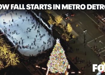 Planes, trains delayed as largest snow fall of season kicks off in Metro Detroit