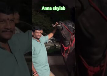 ##skylab #anna #trending #sadar #2025 #trending