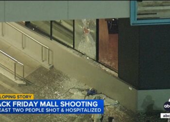 Fight likely sparked CA mall shooting that left 3 hurt on Black Friday: police