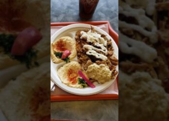 Michigan Must Try Shawarma