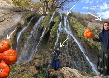 Esmat picking pumpkins in the Zagros Mountains 🎃🏔️