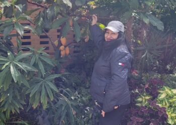 #mathias botanica garden #Ann Abor #USA