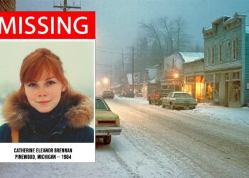Michigan 1984 Cold Case Solved: Missing Woman Identified After 40 Years