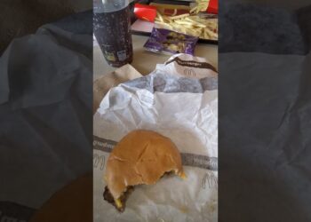 Meal, McDonald's, N Zeeb Road, Ann Arbor, MI, 9/20/25
