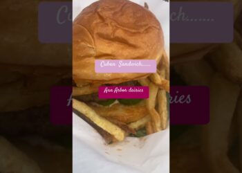 #travelvlog#foodexploration#cuban sandwich#ann arbor diaries#anjana_ann#makeover4life#youtubeshorts#