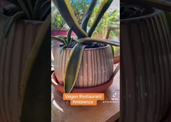 Vegan Restaurant in Ann Arbor popular with Vegans and Non-Vegans