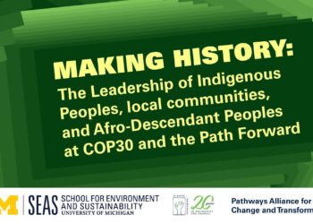 Indigenous Peoples and Local Community Leadership at COP30