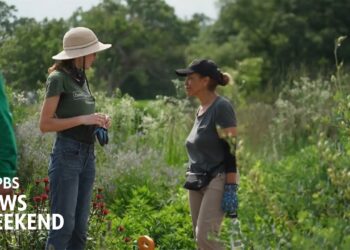 In Detroit, a public garden thrives with help from an army of volunteers