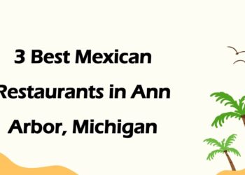 3 Best Mexican Restaurants in Ann Arbor, Michigan | Tex-Mex Restaurants