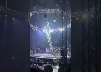 Ann Arbor Cirque Italria #Cirque #Italria #미국 #🇺🇸