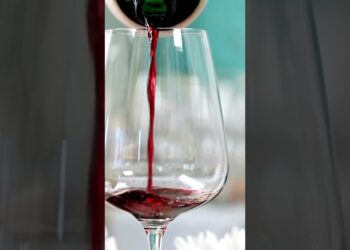 Free Holiday Wine Tasting in Ann Arbor at Venue! #annarbor #wine #winetasting