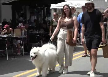 Ann Arbor Art Fair 2024   Day 2