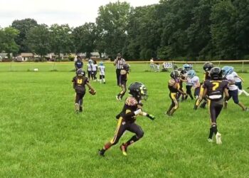 Ypsilanti Braves 8U vs Tar Heels