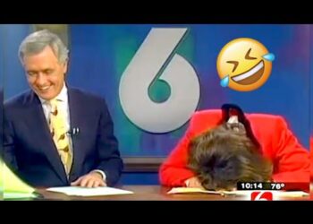 News Anchors Can’t Stop Laughing. Funniest News Bloopers of the Decade #2.